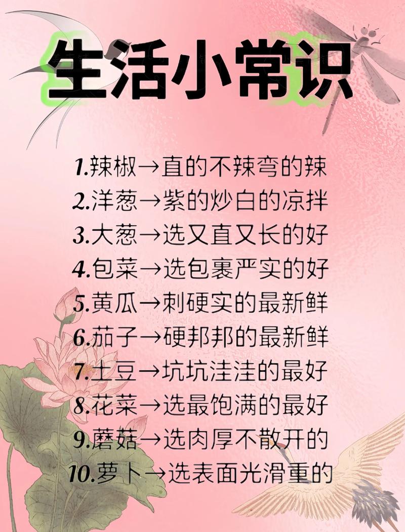 生活中的小常识真的只是小吗?藏着哪些我们忽略的大智慧?-图1 生活中的小常识真的只是小吗?藏着哪些我们忽略的大智慧?-图1