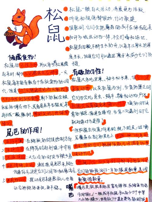 松鼠的常识性说明文里，藏着哪些我们不知道的冷知识？-图1