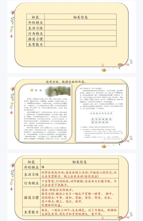 松鼠的常识性说明文里，藏着哪些我们不知道的冷知识？-图2