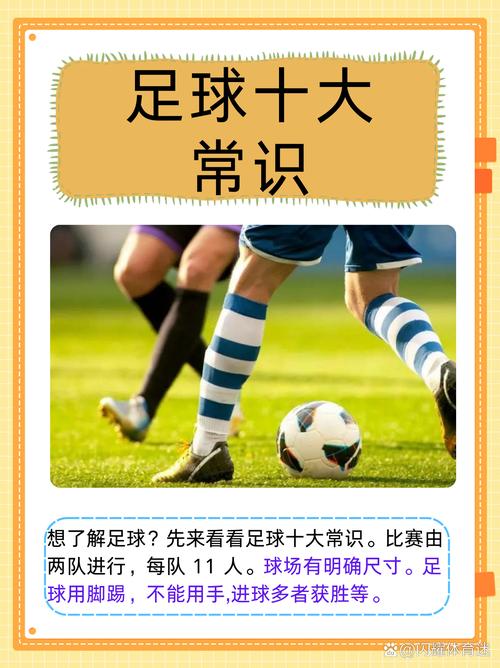 小学体育必备常识,这些安全与技能要点家长和孩子都了解吗?-图3 小学体育必备常识,这些安全与技能要点家长和孩子都了解吗?-图3