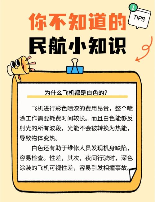 飞机常识知识大全究竟涵盖了哪些鲜为人知的飞行原理与安全细节？-图1