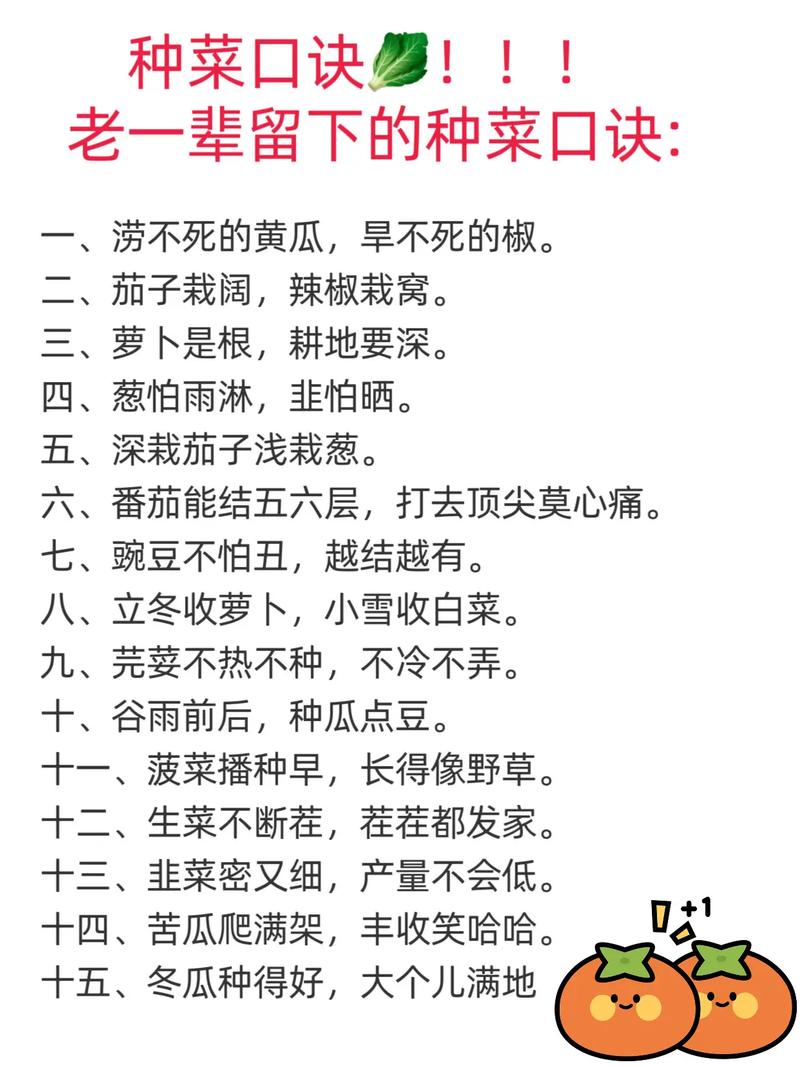 蔬菜安全常识句子-图3 蔬菜安全常识句子-图3