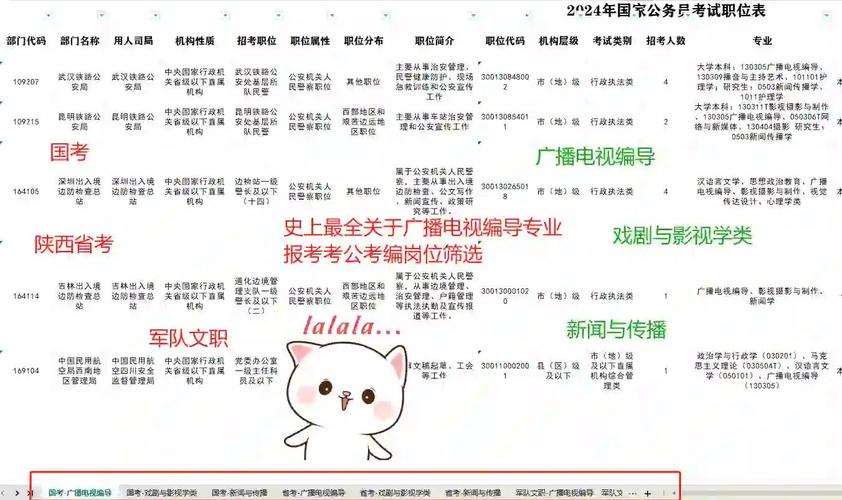 广播电视编导考国考，岗位选择与备考策略有哪些关键点？-图1