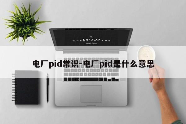 电厂pid常识-电厂pid是什么意思-图1