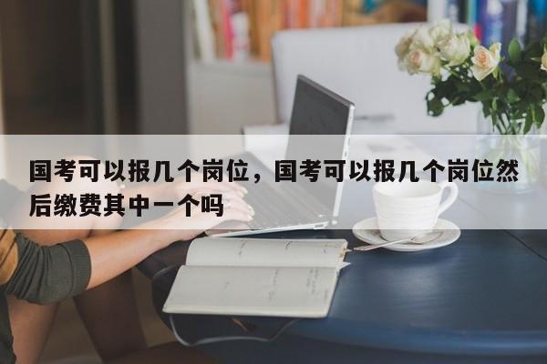 国考可以报几个岗位，国考可以报几个岗位然后缴费其中一个吗-图1