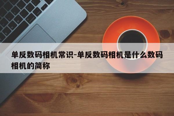 单反数码相机常识-单反数码相机是什么数码相机的简称-图1