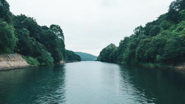 自媒体咋样引流