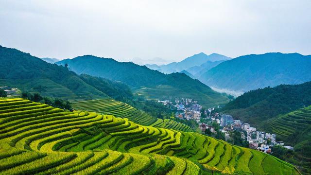 青山老农 社群电商