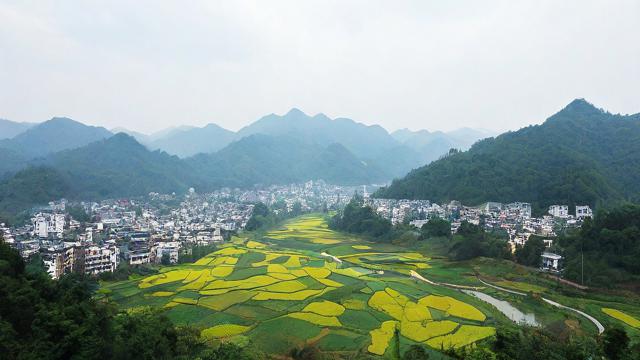 2016电商百佳县