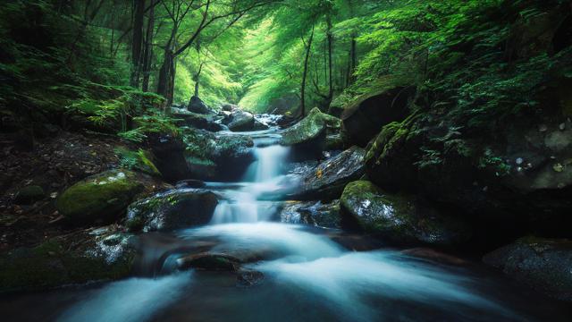 抖音着怎样引流