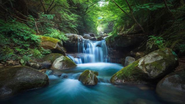 抖音着怎样引流